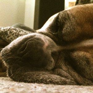 Meet your Posher, Eric